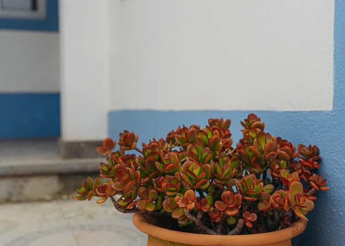 度假居 Oceanview Sunset Retreat